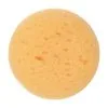Make-Up Sponge -Cheap Food Beverage Store 32252