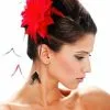 Black And Red Hair Clip 2 Black And Red Hair Clip -Cheap Food Beverage Store 68520