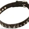 Rock Choker (Spiked) Adult